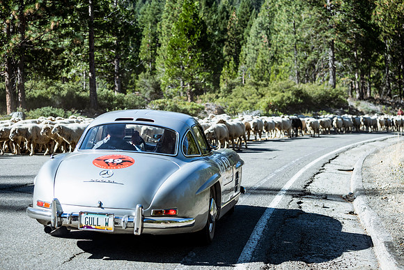 300sl-classic-2022-tom-leigh-3210