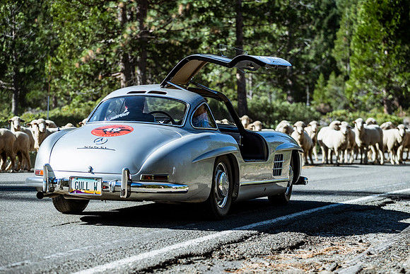 300sl-classic-2022-tom-leigh-3218