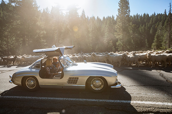 300sl-classic-2022-tom-leigh-9652-2