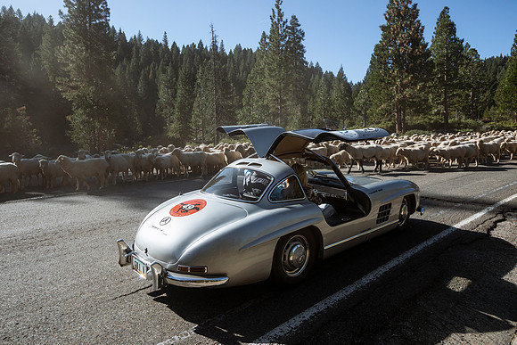 300sl-classic-2022-tom-leigh-9646