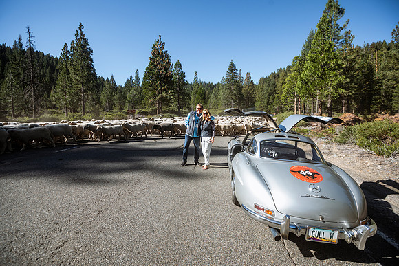 300sl-classic-2022-tom-leigh-9655