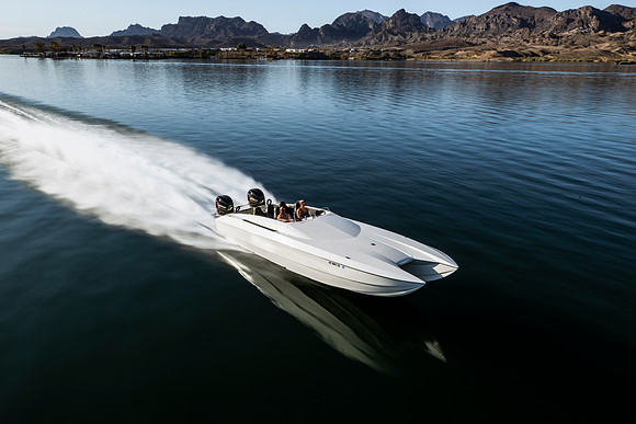 super-cat-fest-2025-tom-leigh-7007