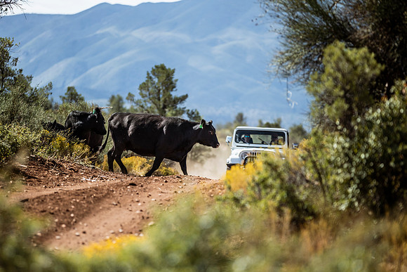 copperstate-overland-2023-tom-leigh-9649