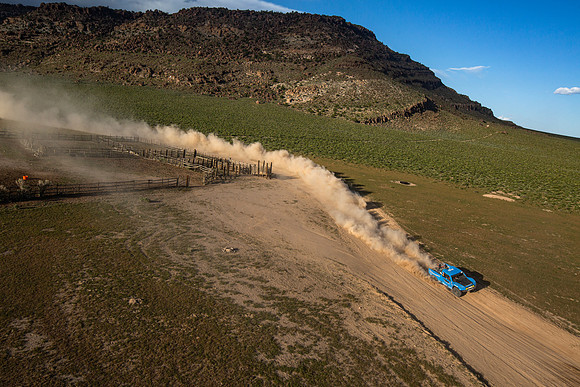 mills-motorsports-silverstate-2019-tom-leigh-695