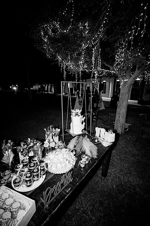bryan-wedding-2023-tom-leigh-2980
