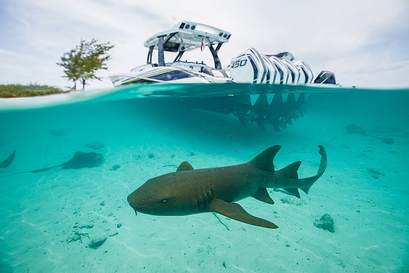 mti-bahamas-2022-tom-leigh-8583-2