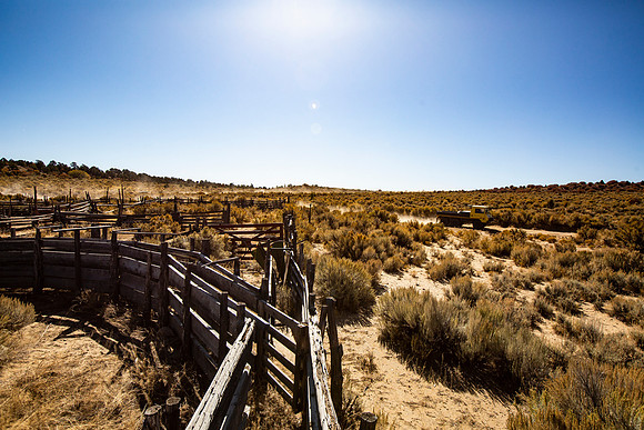 copperstate-overland-2019-tom-leigh-454-2