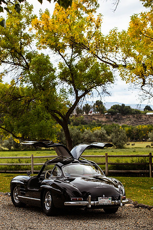 300sl-classic-2021-tom-leigh-0245-2
