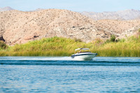 halletts-in-havasu-2019-tom-leigh-1446