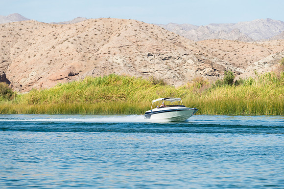 halletts-in-havasu-2019-tom-leigh-1446