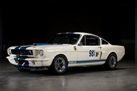 Shelby Tribute 2018 (OVC Mustangs)