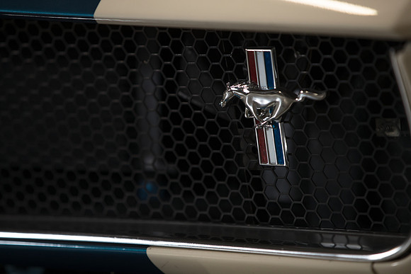 OVC-mustangs-2018-tom-leigh-4347