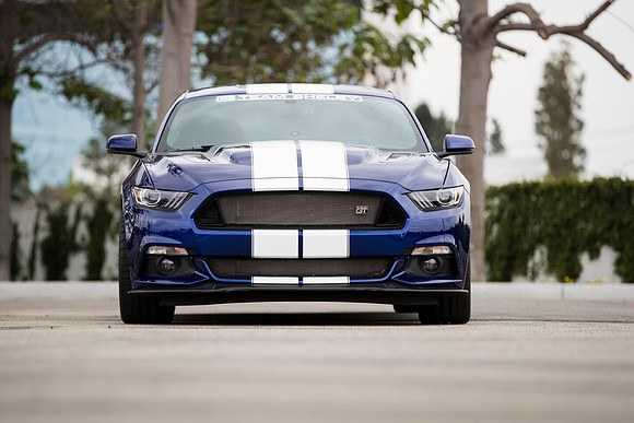 OVC-mustangs-2018-tom-leigh-4217