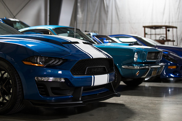 OVC-mustangs-2018-tom-leigh-4461