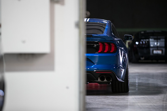 OVC-mustangs-2018-tom-leigh-4581