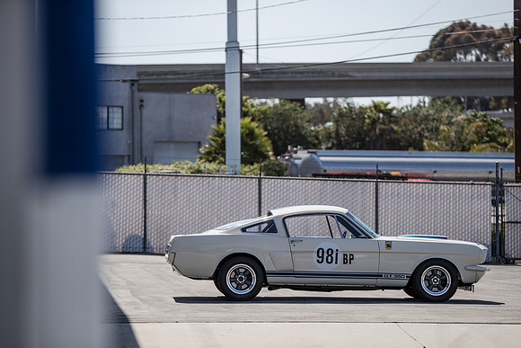 OVC-mustangs-2018-tom-leigh-4079