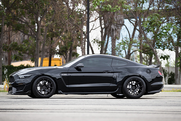 OVC-mustangs-2018-tom-leigh-4213