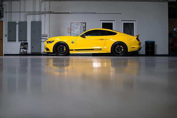 OVC-mustangs-2018-tom-leigh-4521