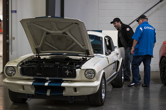 OVC-mustangs-2018-tom-leigh-4672