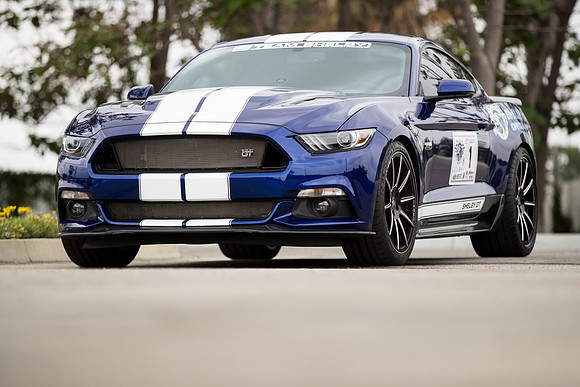 OVC-mustangs-2018-tom-leigh-4219
