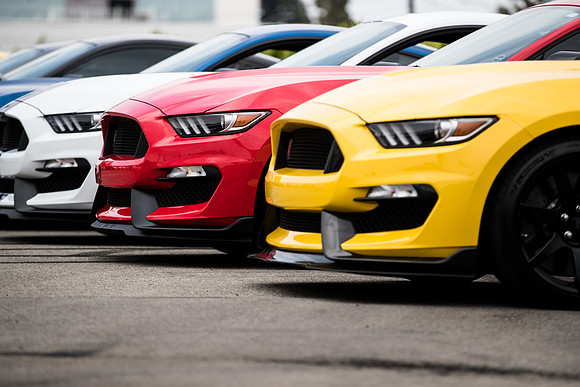 OVC-mustangs-2018-tom-leigh-5069