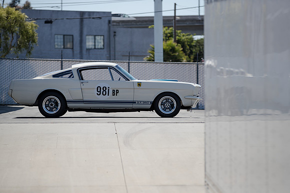 OVC-mustangs-2018-tom-leigh-4017