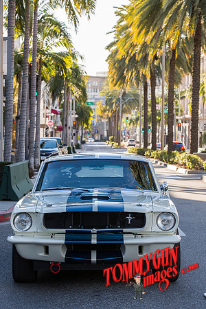 OVC-mustangs-beverly-hills-delivery-2019-tom-leigh-8826