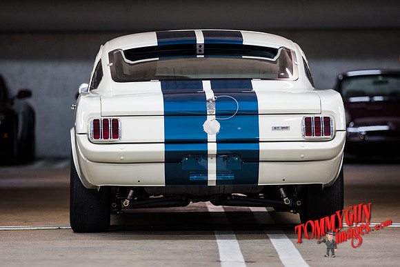 OVC-mustangs-beverly-hills-delivery-2019-tom-leigh-9011
