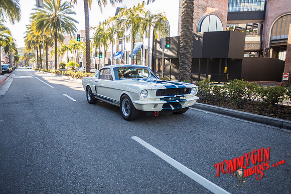 OVC-mustangs-beverly-hills-delivery-2019-tom-leigh-3787