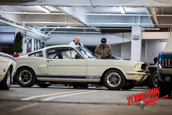 OVC-mustangs-beverly-hills-delivery-2019-tom-leigh-8986