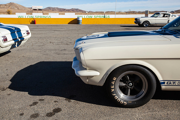 ovc-mustangs-2018-tom-leigh-2324-Edit