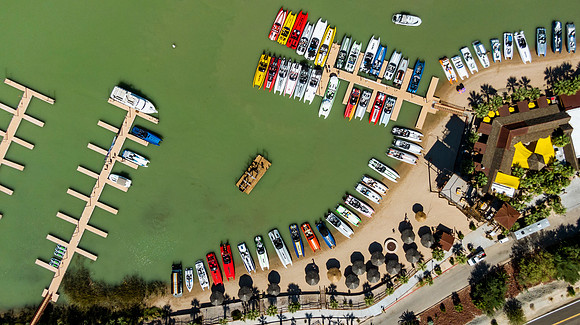 pirate-cove-dcb-regatta-2022-tom-leigh-0504
