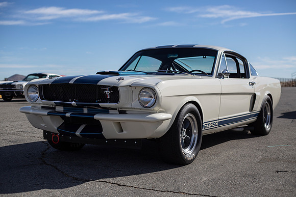 ovc-mustangs-2018-tom-leigh-2378