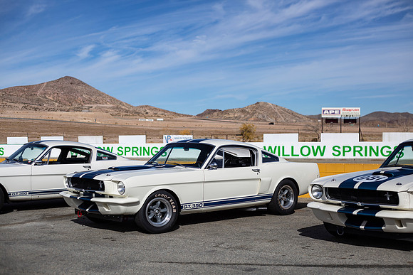 ovc-mustangs-2018-tom-leigh-2385
