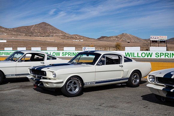 ovc-mustangs-2018-tom-leigh-2386