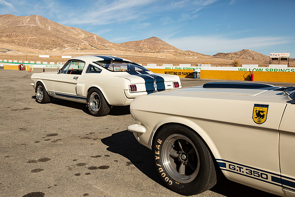 ovc-mustangs-2018-tom-leigh-2328
