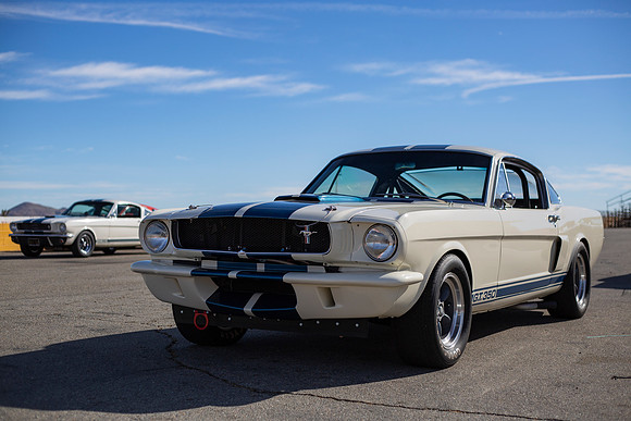 ovc-mustangs-2018-tom-leigh-2379