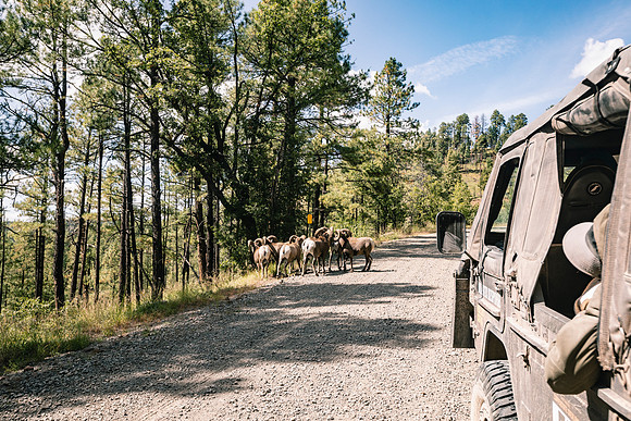 copperstate-overland-2022-tom-leigh-5927-2