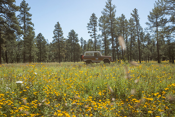 copperstate-overland-2022-tom-leigh-5022