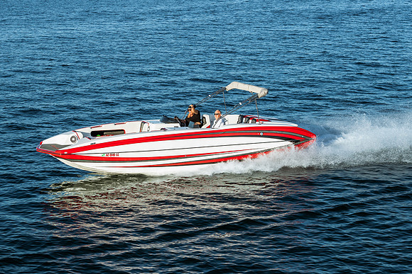cheetah-regatta-2022-tom-leigh-9554