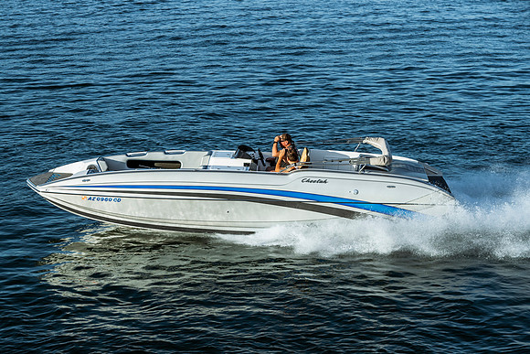 cheetah-regatta-2022-tom-leigh-9887