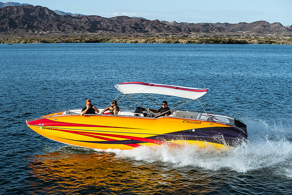 cheetah-regatta-2022-tom-leigh-0276