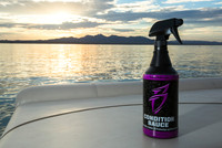 Boat Bling Toon Sauce Havasu 2017-2800-Edit