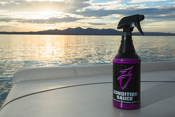 Boat Bling Toon Sauce Havasu 2017-2800-Edit