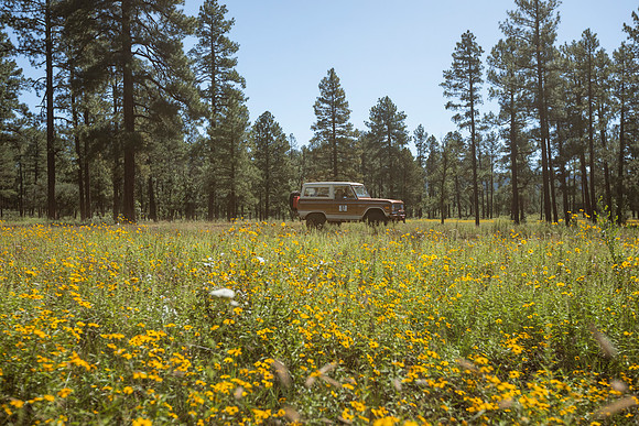 copperstate-overland-2022-tom-leigh-5019