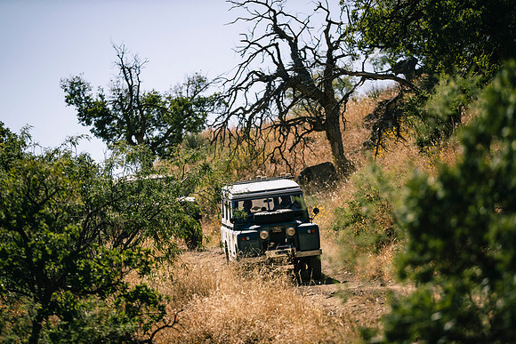 copperstate-overland-2021-tom-leigh-5485