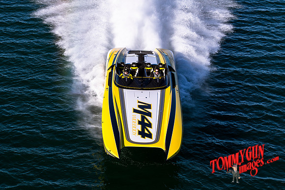 DCB-M44-Bananas-tom-leigh-193