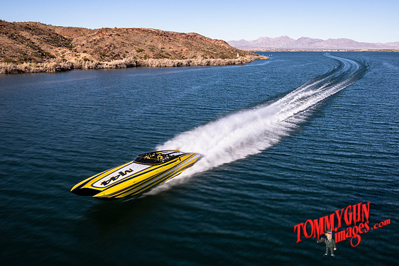 DCB-M44-Bananas-tom-leigh-150-2