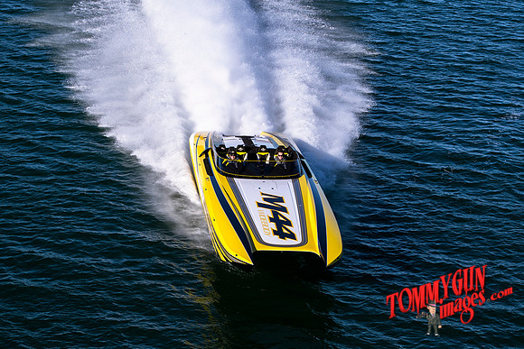 DCB-M44-Bananas-tom-leigh-135