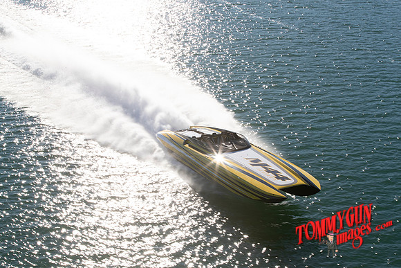 DCB-M44-Bananas-tom-leigh-318
